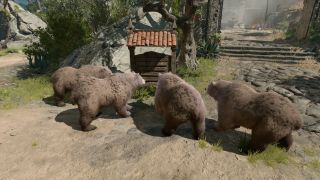 A bunch of bears
