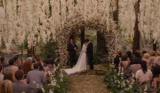 Edward and Bella Wedding day in Twilight: Breaking Dawn Part 1