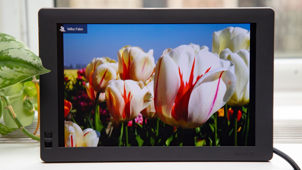 Best Digital Photo Frames 2019 Tom S Guide