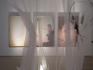 Anohni artwork, photographs behind sheer curtain