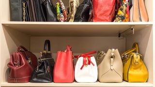 Handbags on shelf