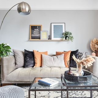 living room with large grey sofa and cushions, glass coffee table, rug and plants