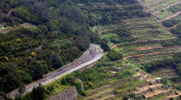 The Giro d'Italia peloton rolls along amidst a terraced hillside.