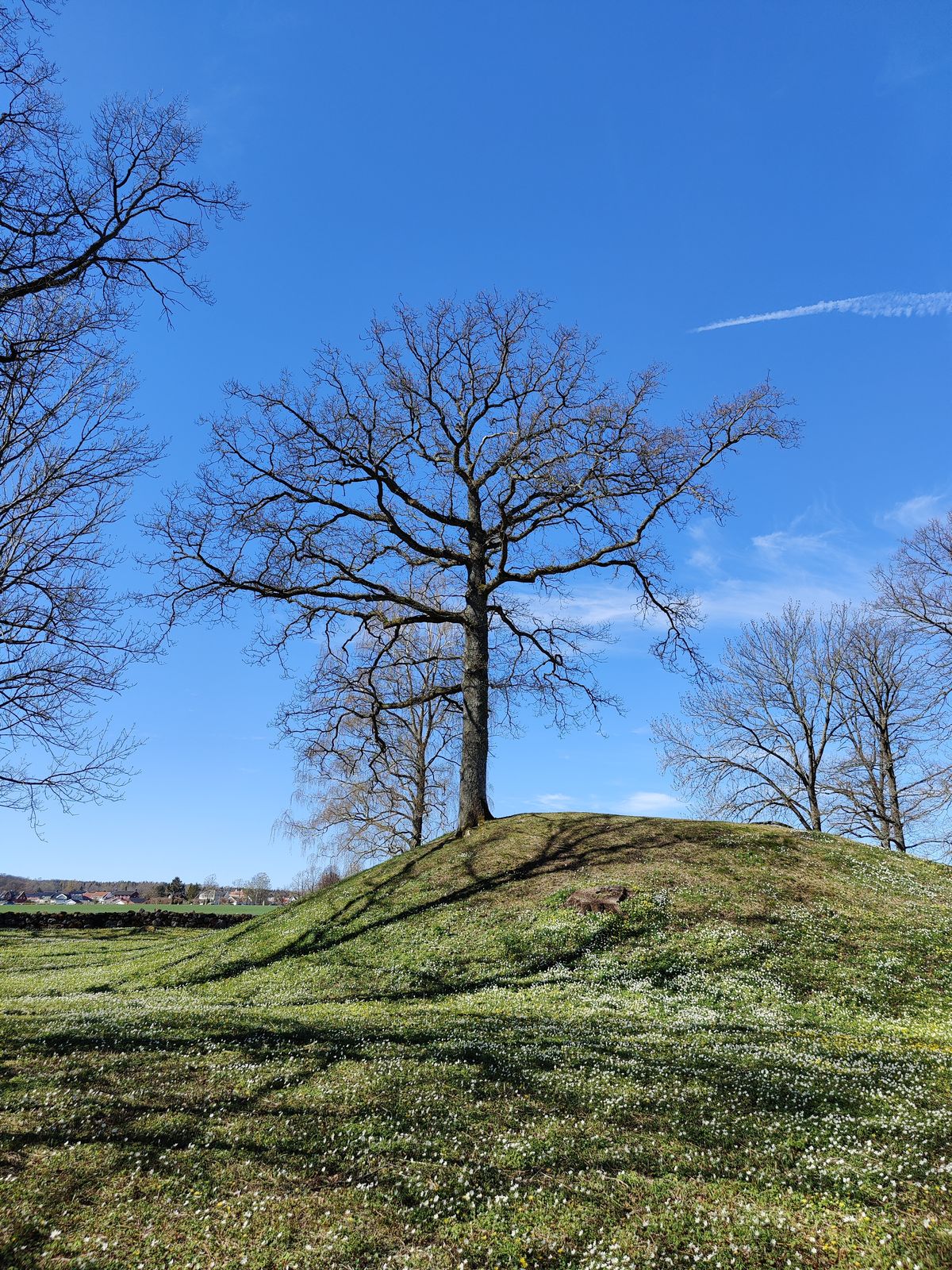 Bilde tatt med OnePlus 8 Pro
