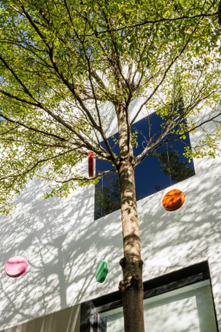 Germane Barnes Miami Design District chimes on tree