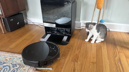 Roborock Saros 10R with a cat next to it 