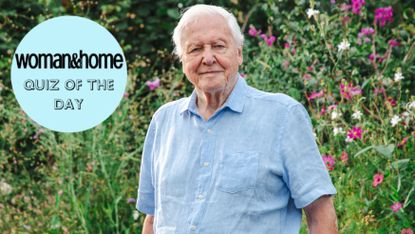 Sir David Attenborough in the BBC show Secret Garden, with a W&H Quiz of the Day roundel over the top