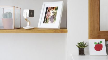 Hive View camera sitting on wooden shelf next to photo frames and a cactus