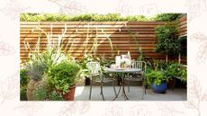 picture of patio garden with leafy border with potted plants and garden furniture to show some of the things you should never pressure wash in a garden