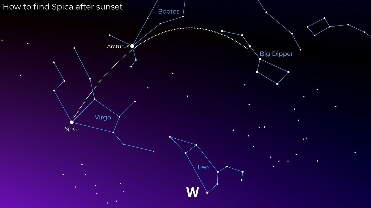 A starchart showing how to find Spica using the major constellations.