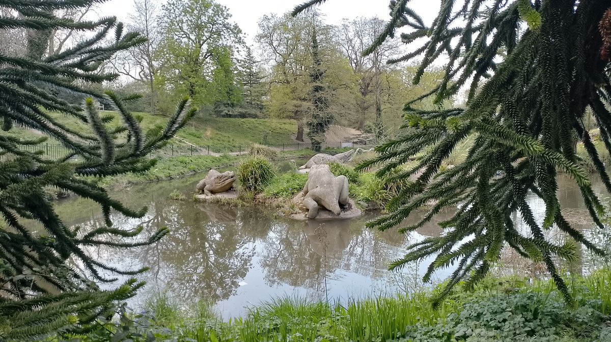 Realme C35 camera samples