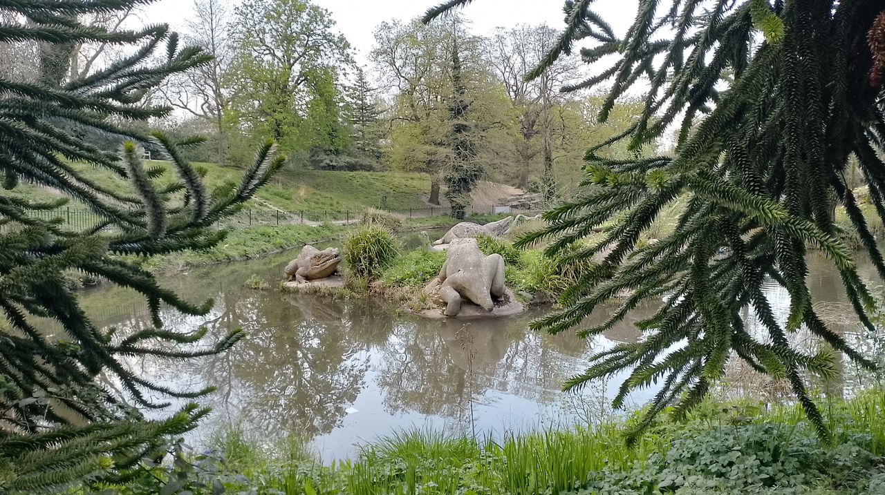 Realme C35 camera samples