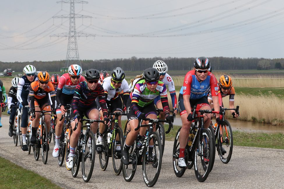 Stage 3 of the Healthy Ageing Tour