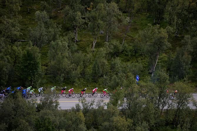 The peloton