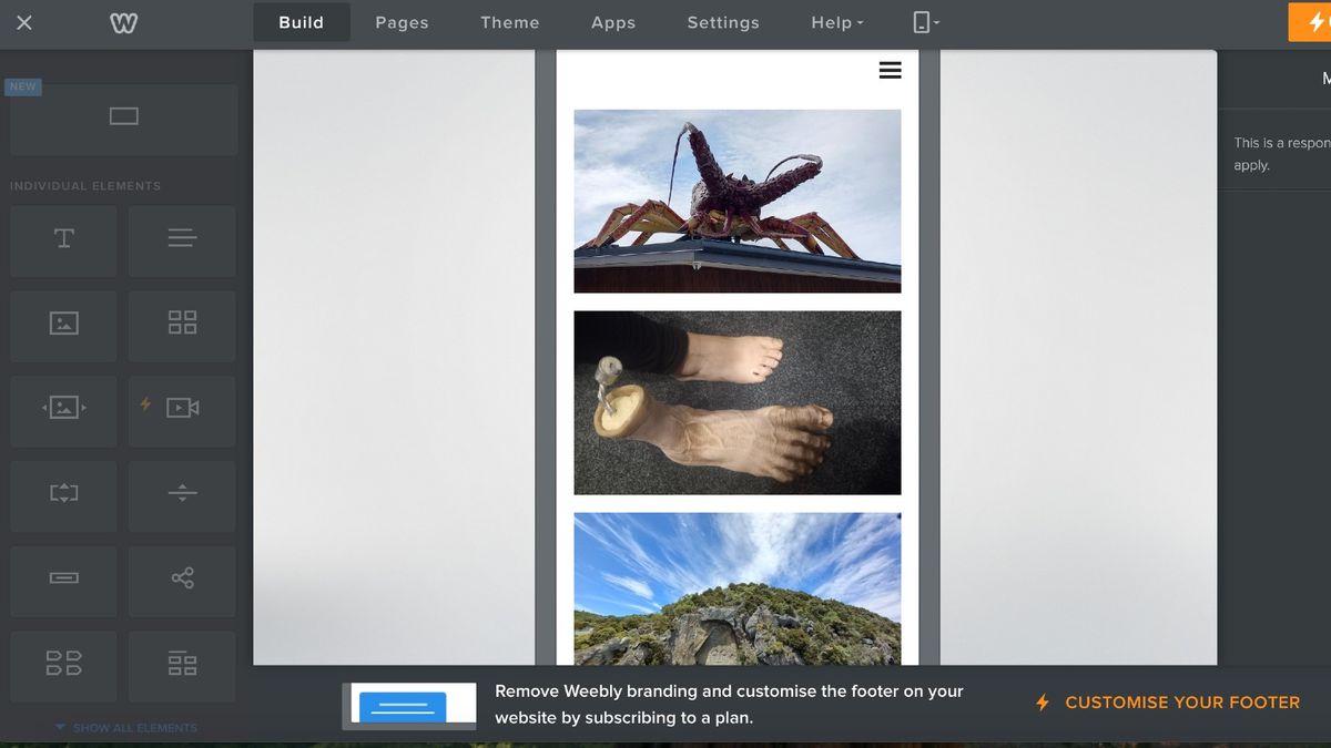 Screenshot of Weebly interface showing mobile version of my website