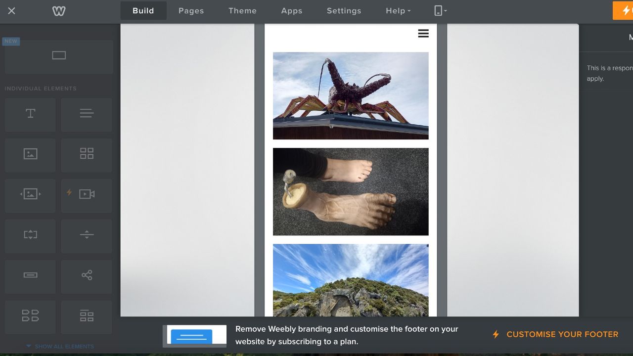 Screenshot of Weebly interface showing mobile version of my website