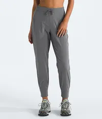 The North Face Never Stop Wearing Pants (Women's)