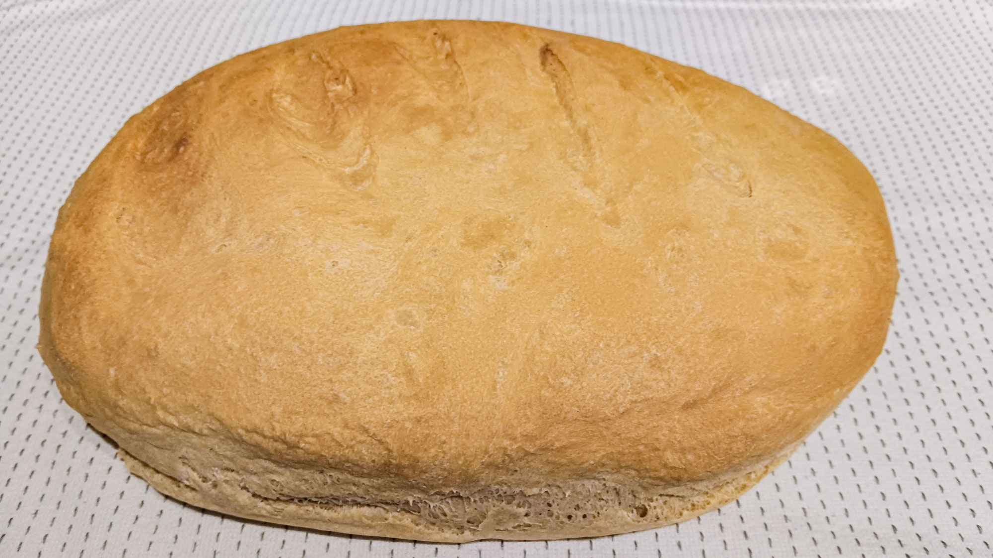 Bread made using a Cuisinart Precision standmixer