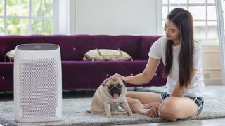 Air purifiers vs ionizers: Image shows woman petting dog next to an air purifier