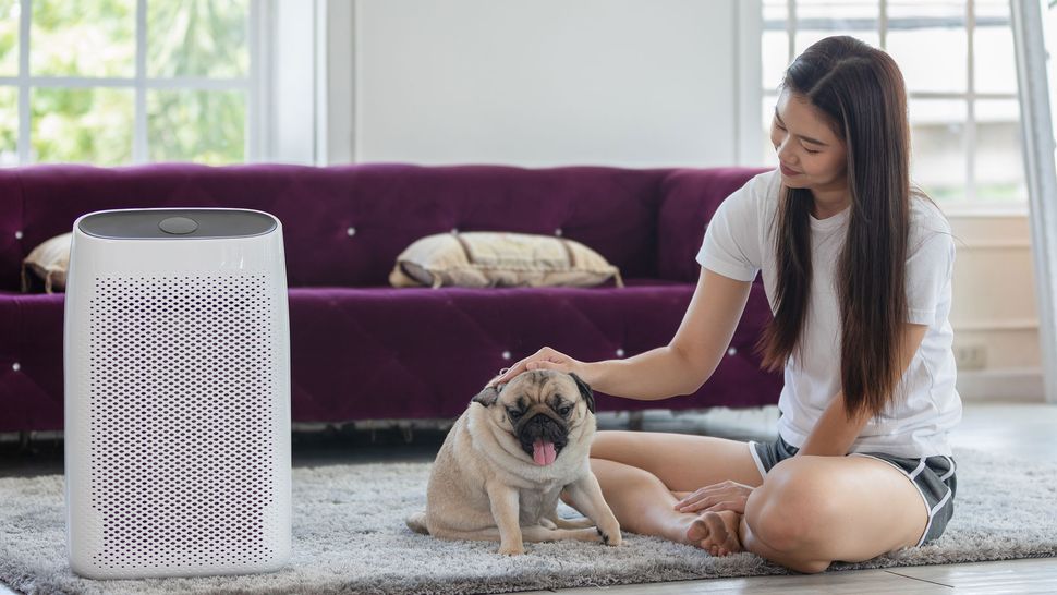 Air purifiers vs ionizers Live Science