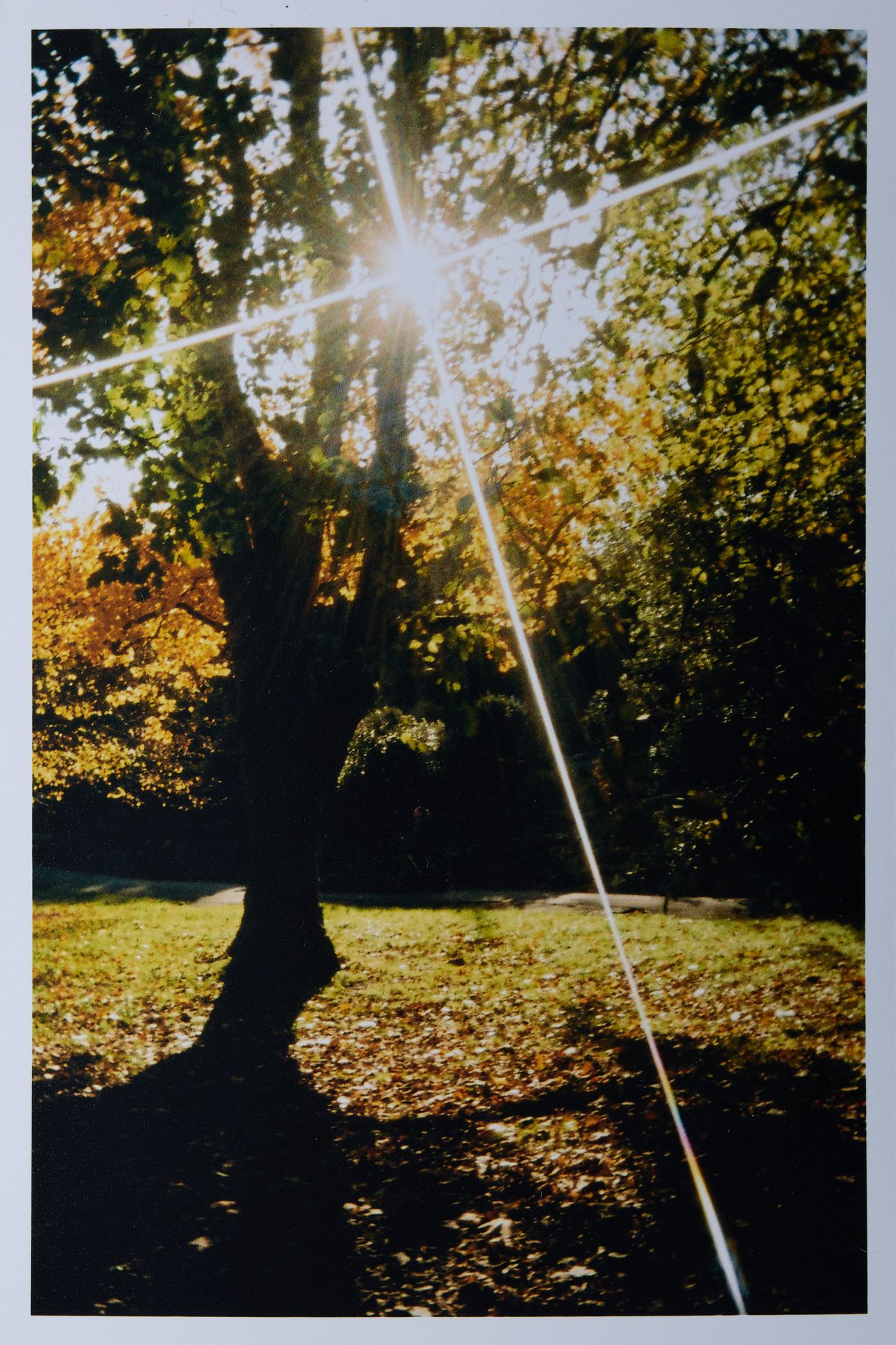 Kodak Ektar H35N sample image