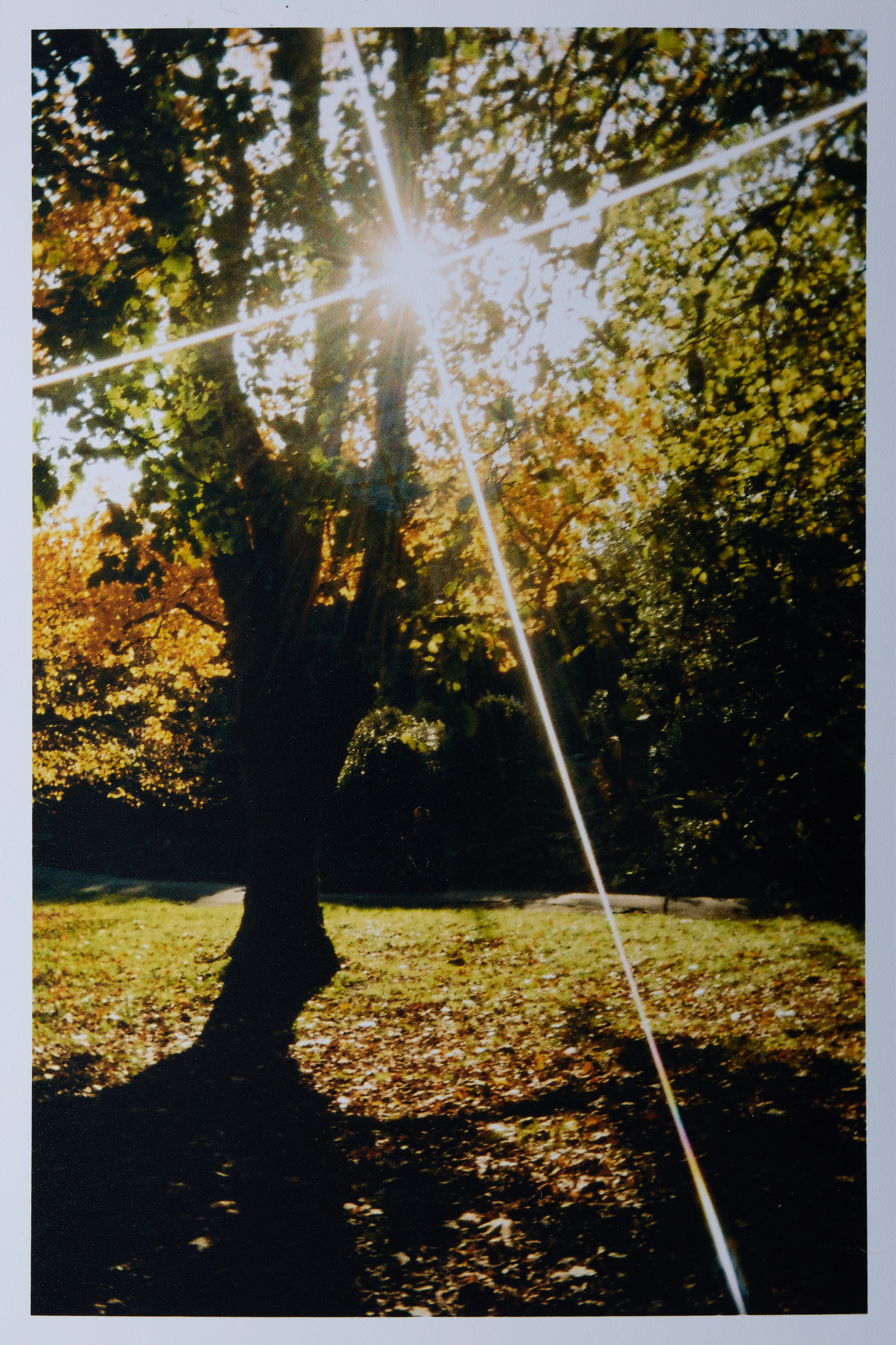 Kodak Ektar H35N sample image