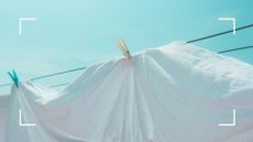 picture of white bedsheet drying outside in the sun on washing line 