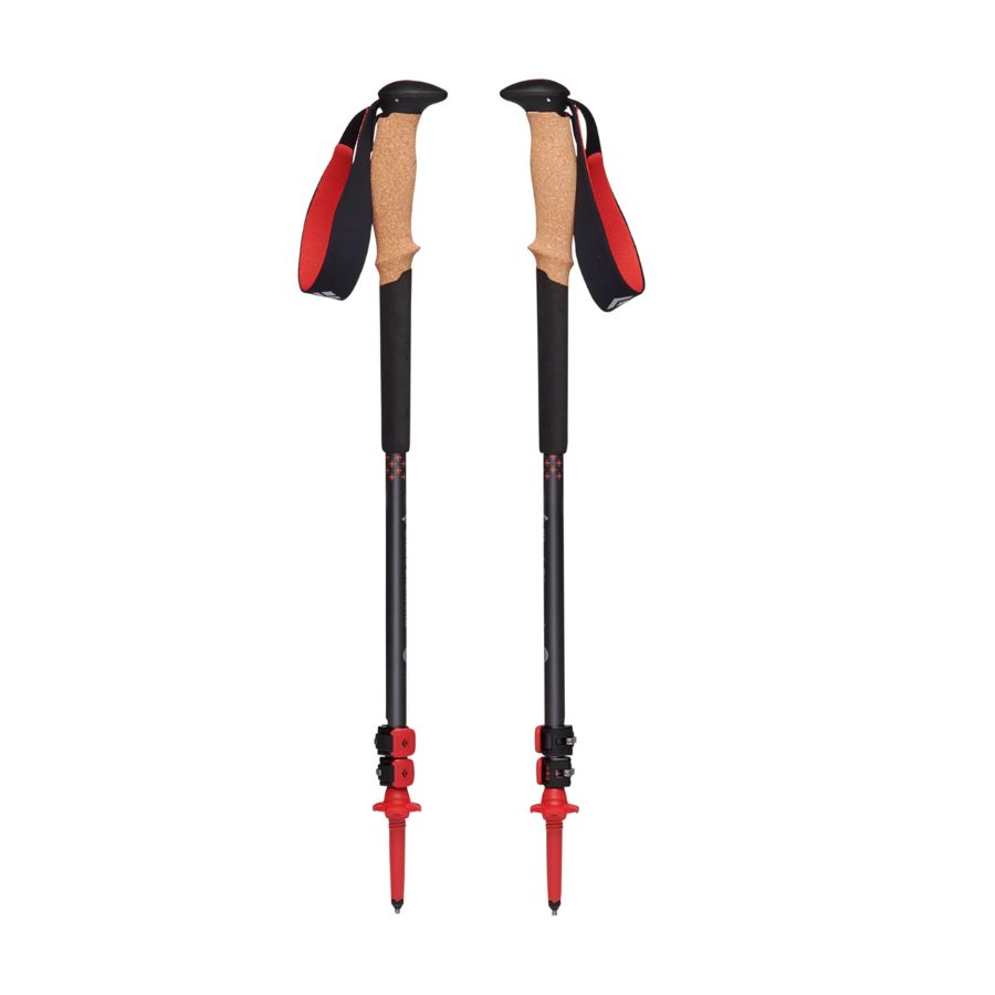 Black Diamond trekking poles