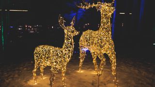 Two illuminated outdoor reindeer decorations