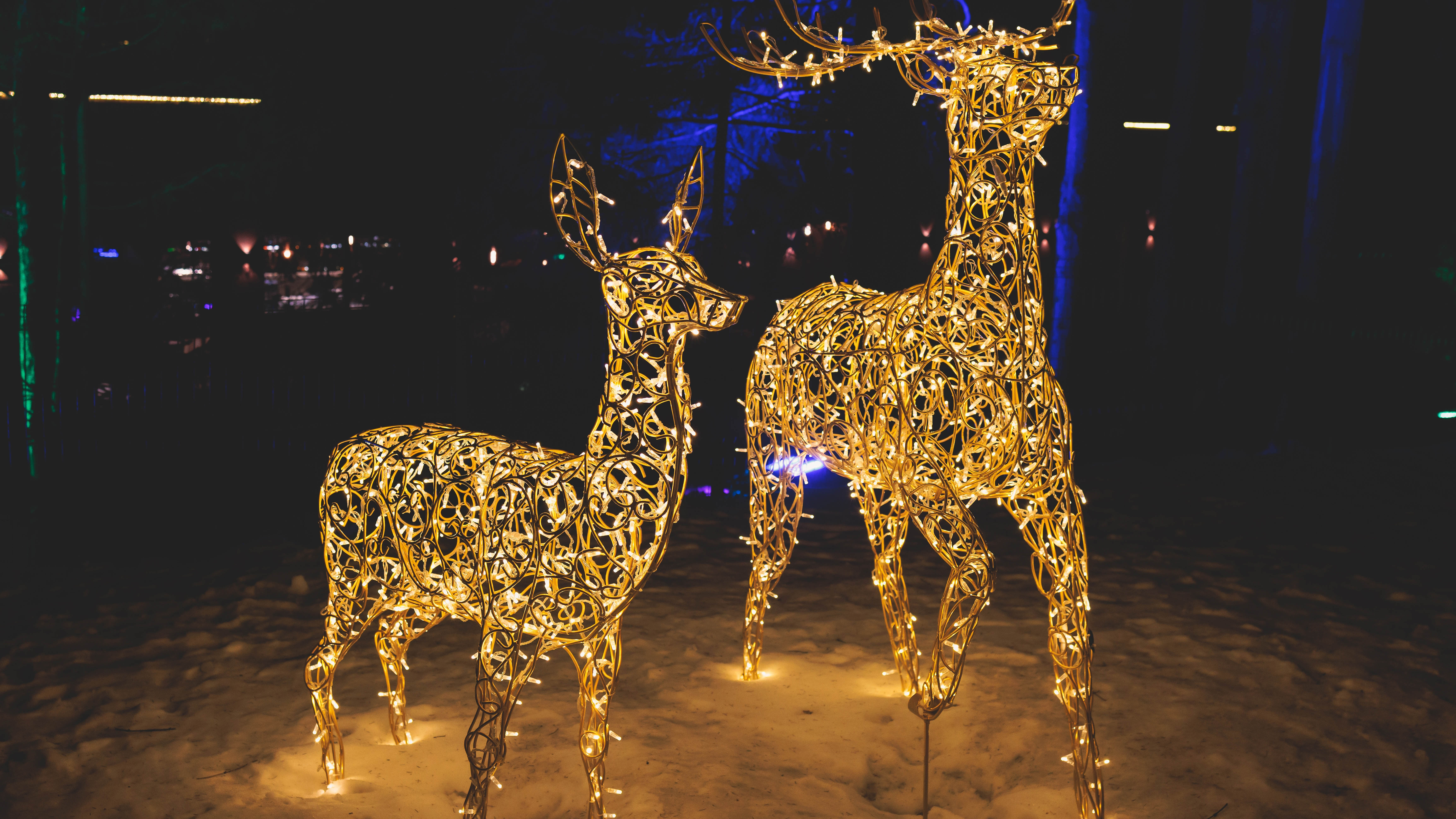 Два уличных декорации в виде оленей с подсветкой