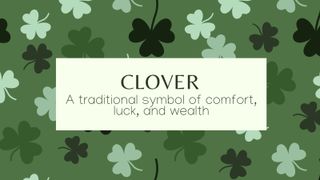 An image of clovers and the meaning of baby name clover