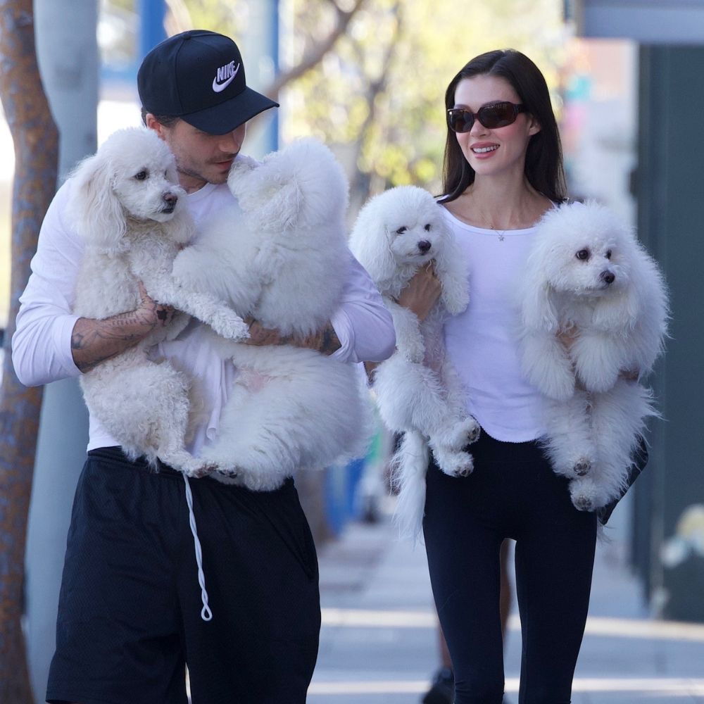 Nicola Peltz Beckham walks alongside Brooklyn Beckham carrying puppies. She wears a white t-shirt with black capri leggings and black rounded-toe heels.