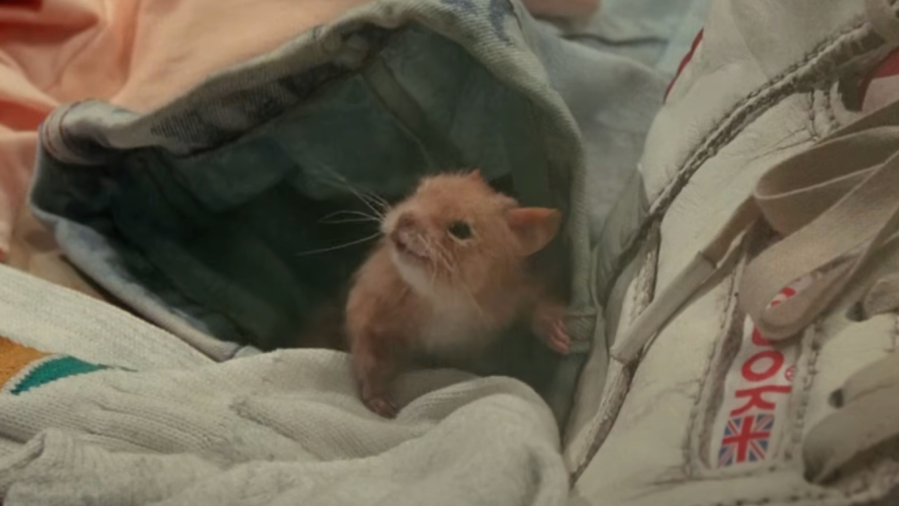 Luke as a rat in The Witches