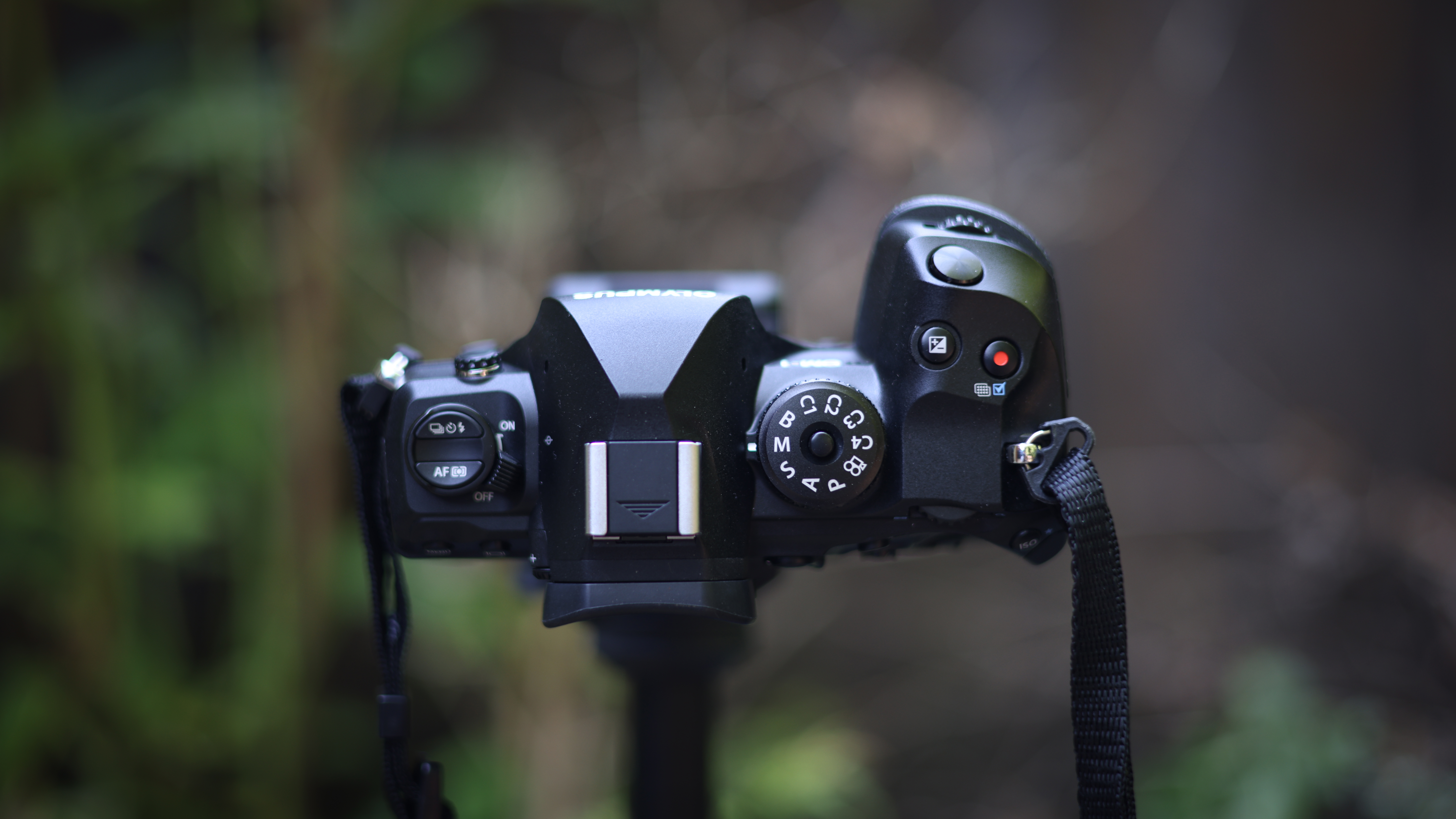 The OM System OM-1 camera body, against a woodland background