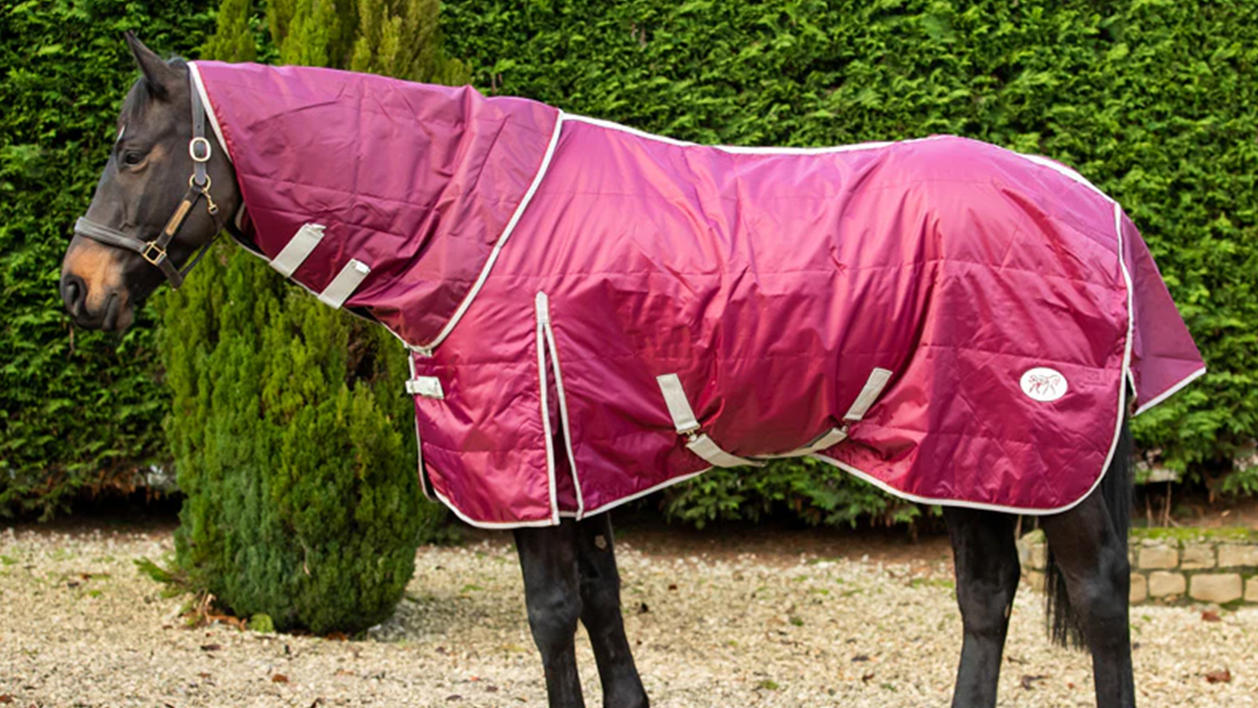 Swish Equestrian stable rug