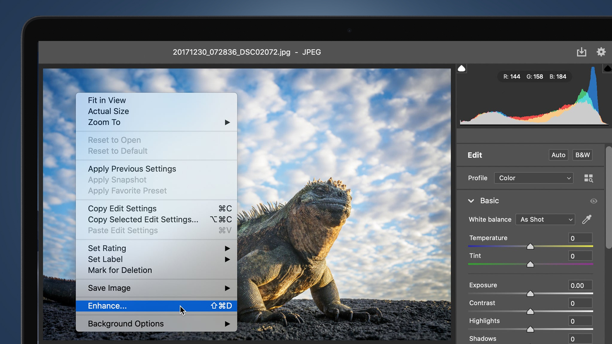 Layar laptop menampilkan mode Resolusi Super Adobe yang bekerja pada foto reptil