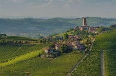 Langhe Nebbiolo