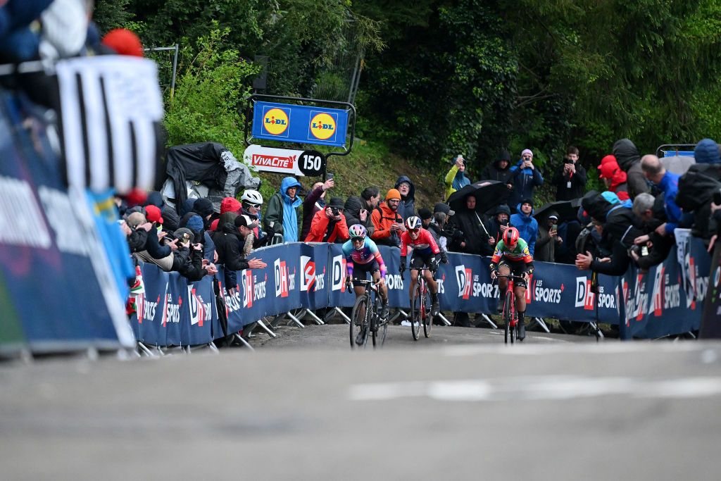 HUY BELGIUM APRIL 17 LR Race winner Katarzyna Niewiadoma of Poland and Team CanyonSRAM Racing Demi Vollering of The Netherlands and Team SD Worx Protime and Elisa Longo Borghini of Italy and Team Lidl Trek compete in the breakaway during the 27th La Fleche Wallonne Feminine 2024 a 146km one day race from Huy to Huy UCIWWT on April 17 2024 in Huy Belgium Photo by Dario BelingheriGetty Images