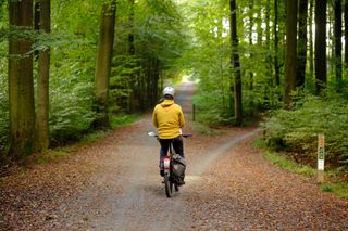 TERVUREN, BELGIUM - OCTOBER 3: A man rides his Electric bicycle in the Sonian Forest, at the south-eastern edge of Brussels, on October 3, 2024 in Tervueren, Belgium. Yesterday, the European Commission announced that it could postpone the implementation of the European regulation on imported deforestation for a year. Burning fossil fuels, cutting down forests and farming livestock are increasingly influencing the climate and the earth's temperature. This adds enormous amounts of greenhouse gases to those naturally occurring in the atmosphere, increasing the greenhouse effect and global warming. (Photo by Thierry Monasse/Getty Images)