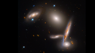 The Hickson Compact Group 40 is a group of five merging galaxies, as shown here in a Hubble Space Telescope image.