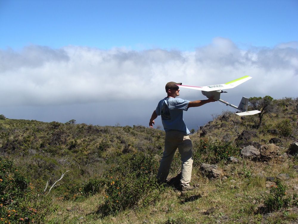 Drone monitoring wildlife launch in Hawaii