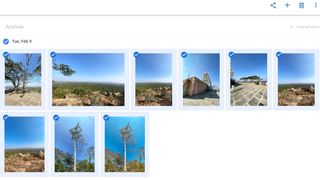 a screenshot of Google Photos' archive folder
