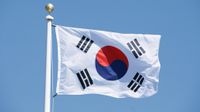 Flag of South Korea.