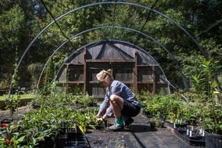 Kristin Lamberson, an interpretive gardens specialist at Strawberry Plains Audubon Center, weeding at the plant nursery in Mississippi.