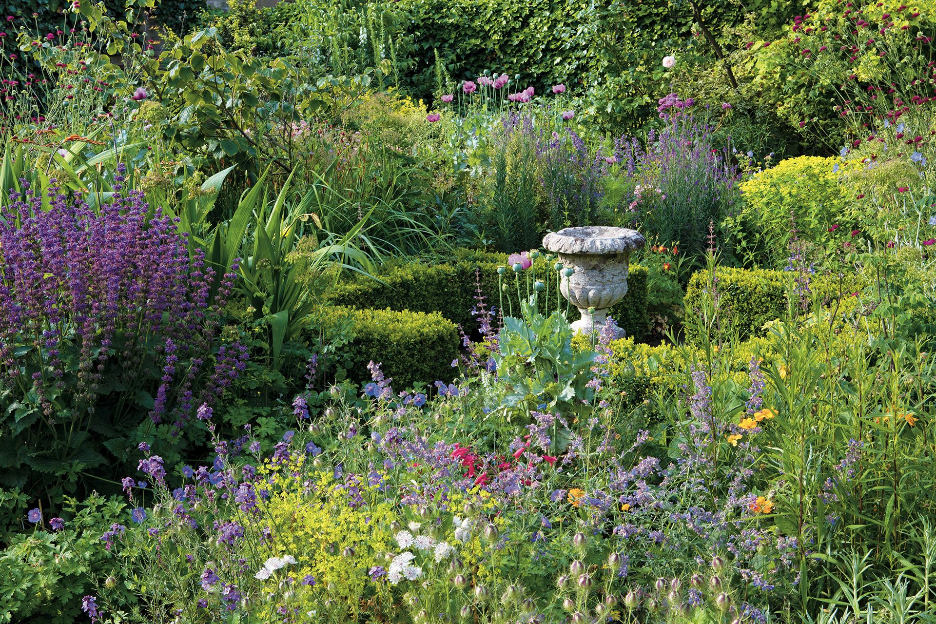 Cottage garden borders