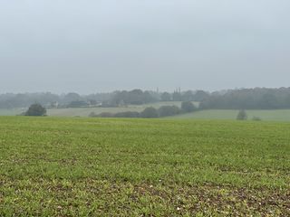 iPhone 12 Pro Max sensor test