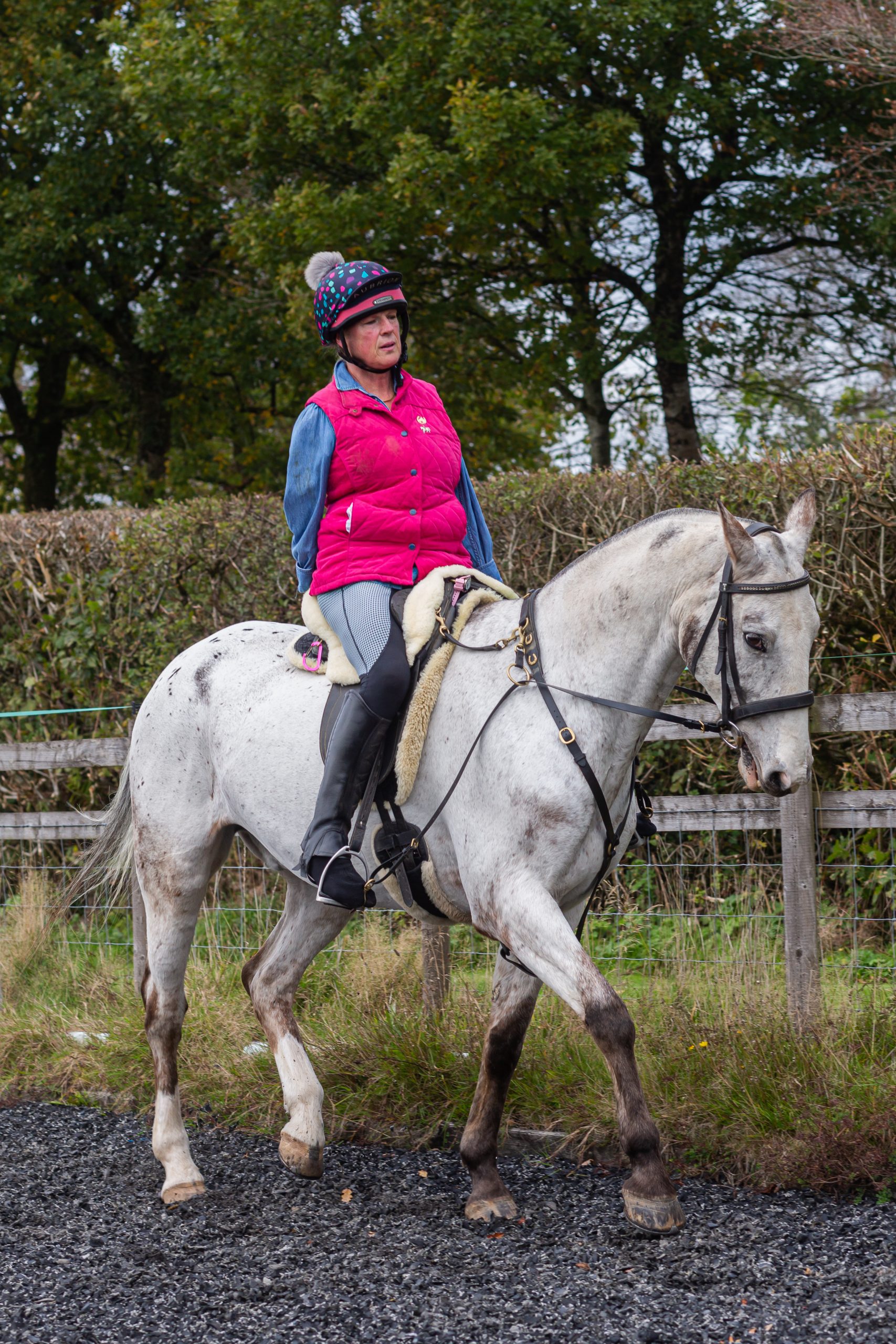 Philippa Verry training Stilton at home