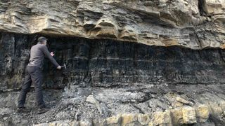 Male geologist holding a hammer examines a coal outcrop near Utah's old Star Point mine.