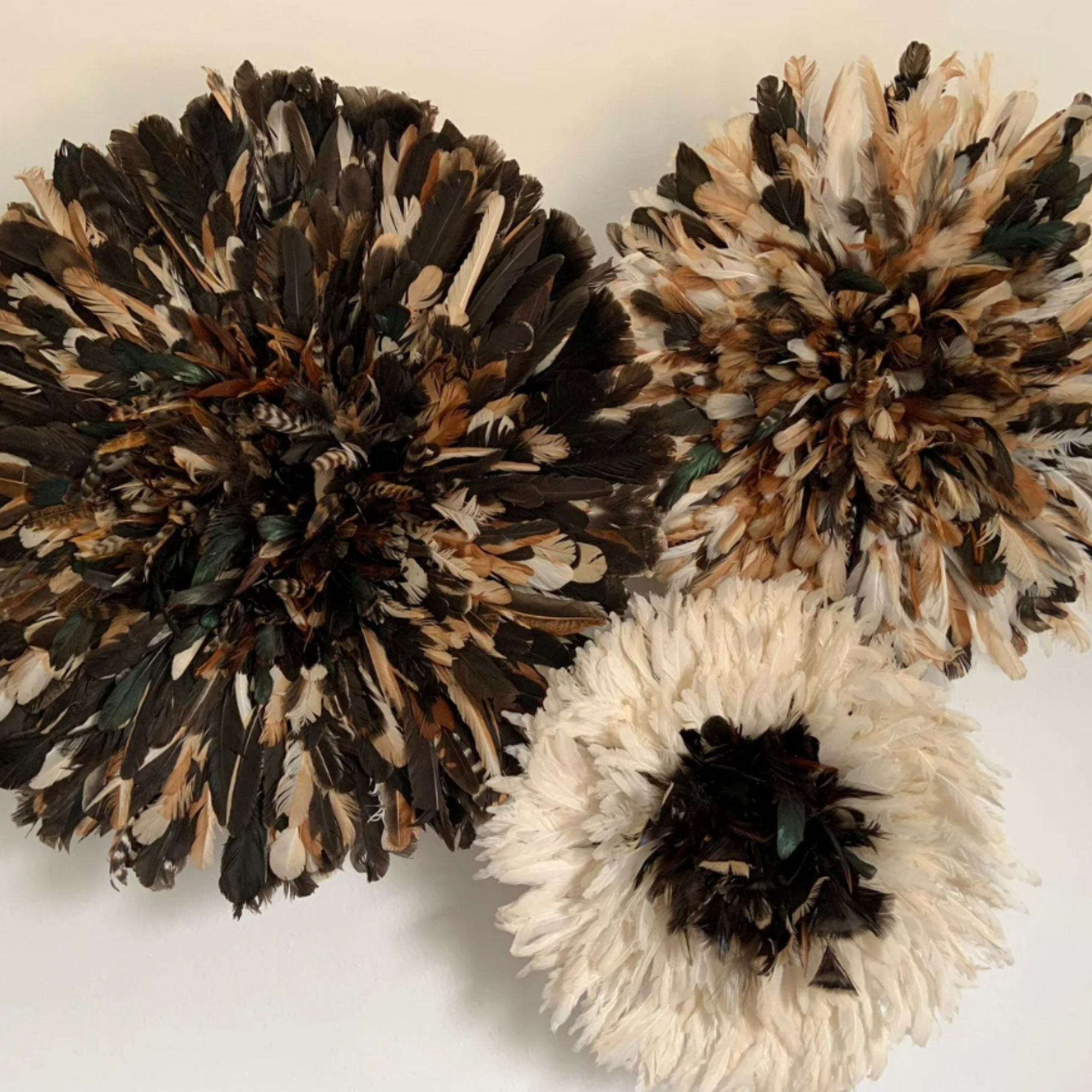 Feather wall art