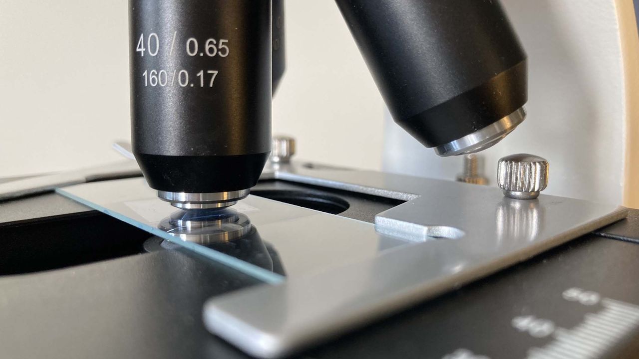 microscope close up